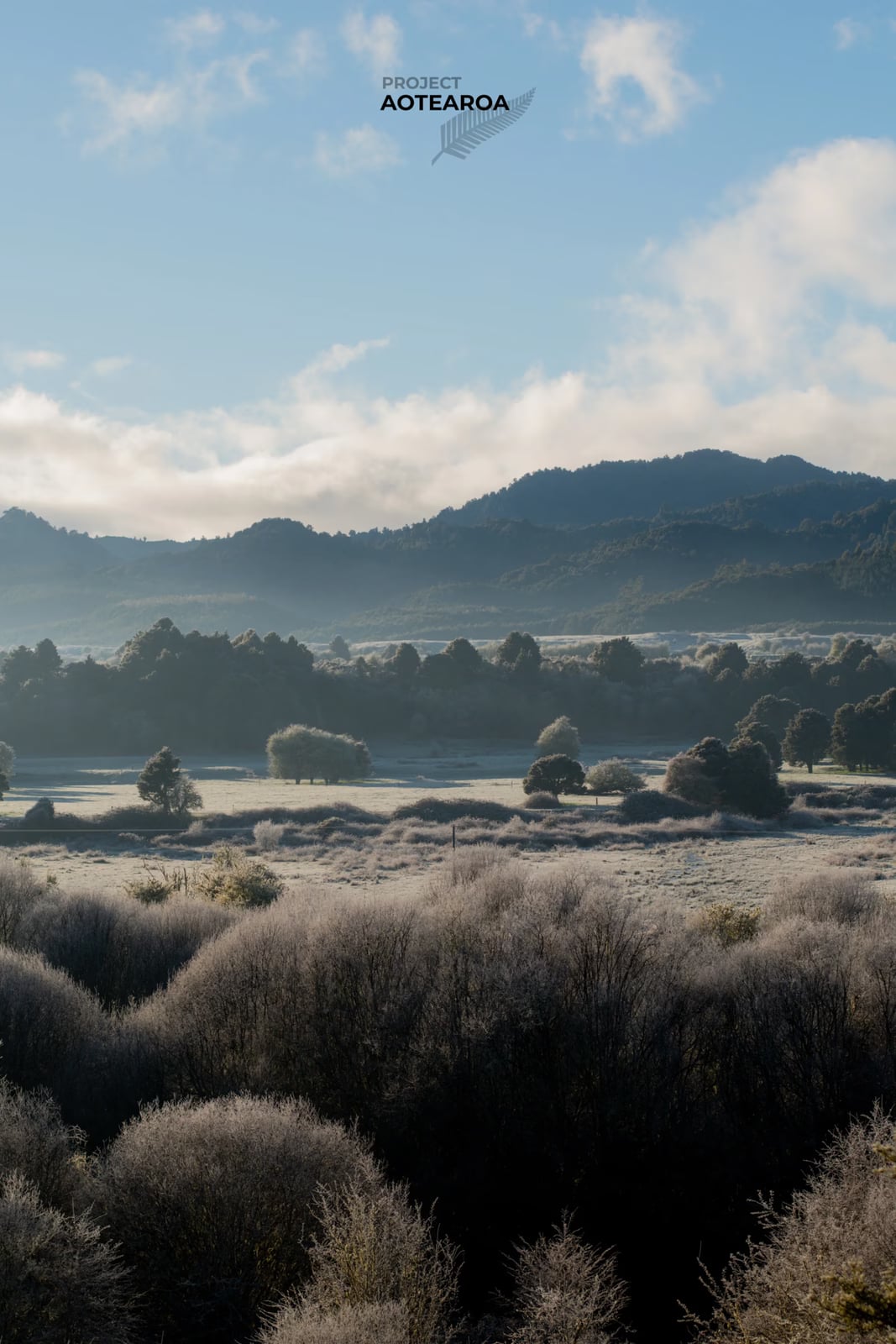 Whirinaki Forest - lookout-02.avif