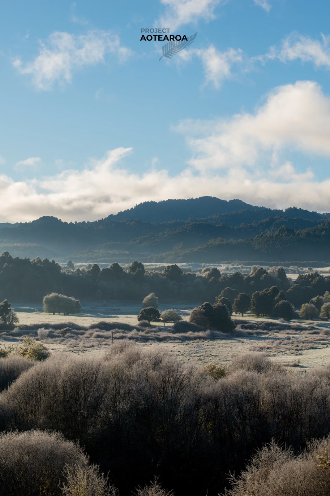 Whirinaki Forest - lookout.avif